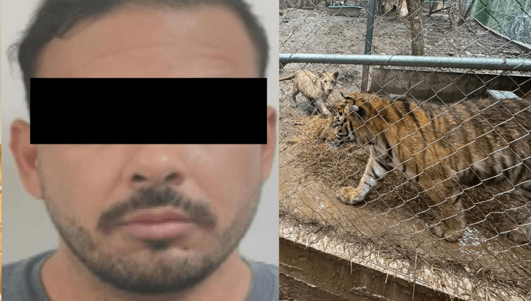 El Titán: Detienen a José Antonio “N” por contrabando de hidrocarburos desde EU