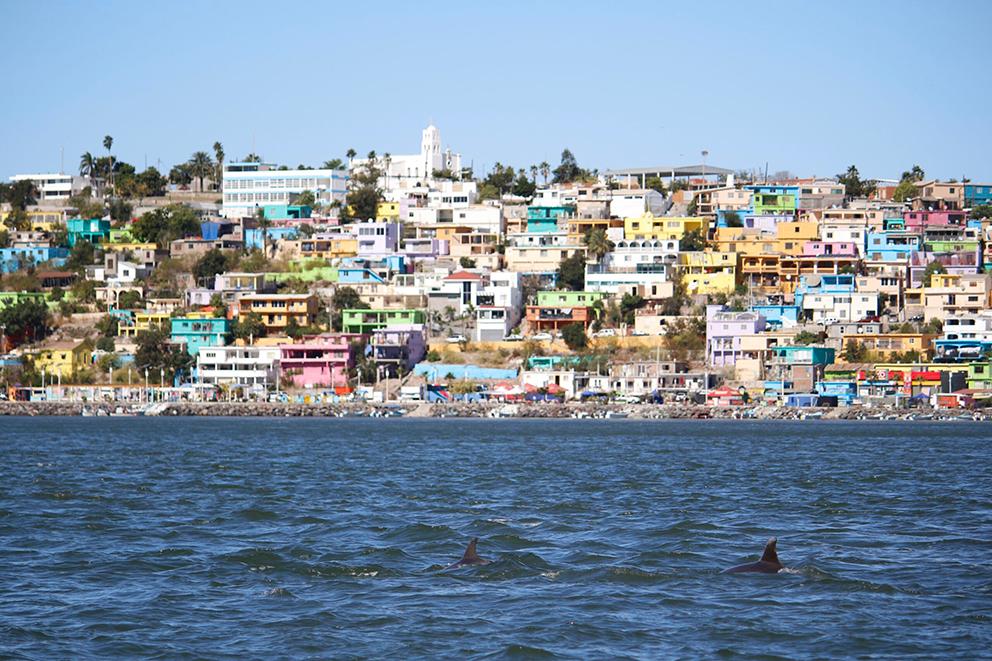 Topolobampo: Así avanza el proyecto de la planta de amoniaco en la bahía de Ohuira 