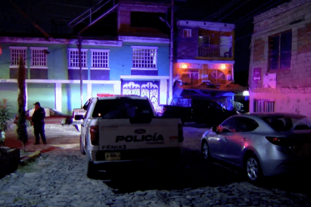 Tlaquepaque: Muere perrita pitbull tras ser atacada con arma blanca