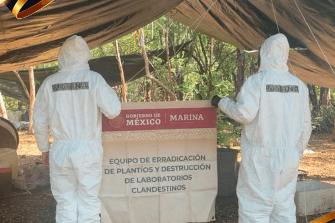 Culiacán: Neutralizan narcolaboratorio para producir metanfetamina