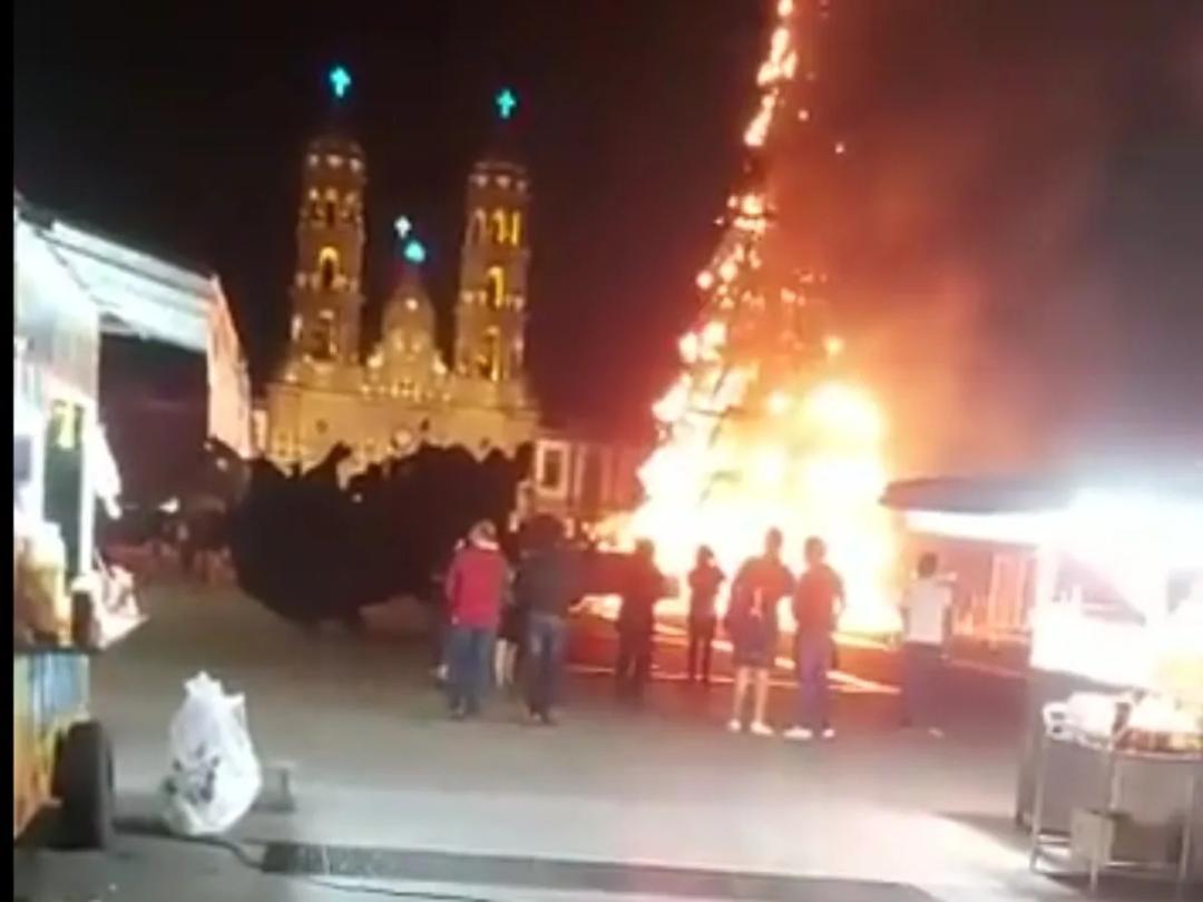 Siguen las quemas de árboles de navidad en colonia de Guadalajara