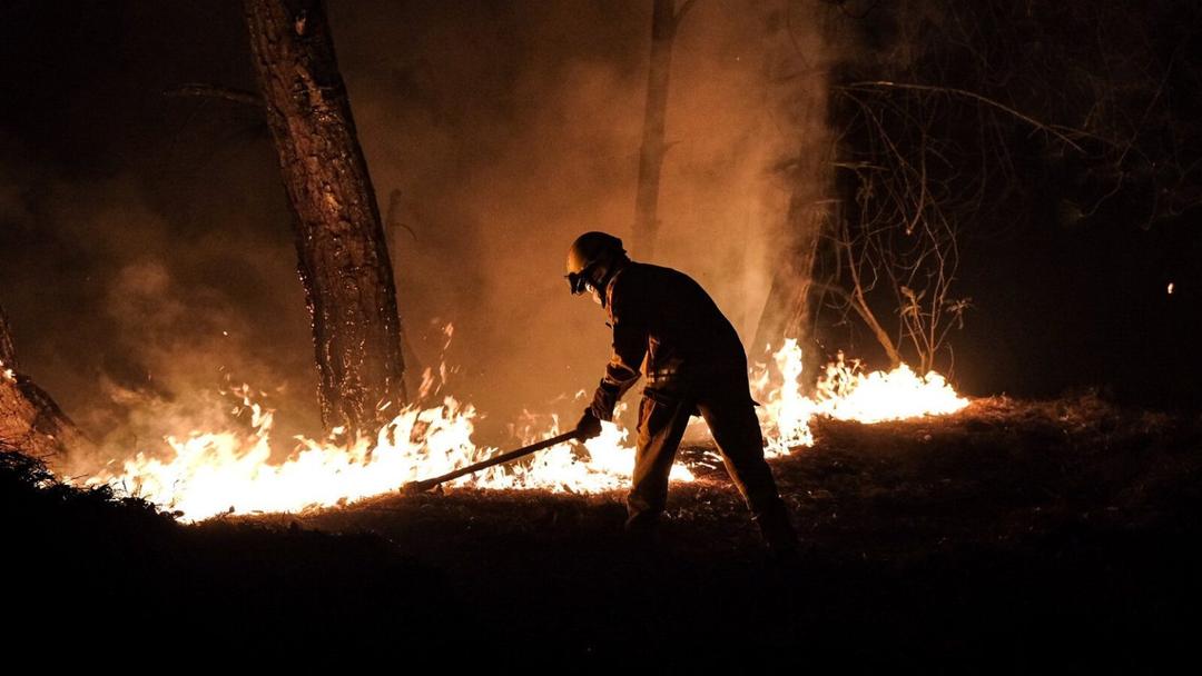 Se activa alerta atmosférica en tres municipios del AMG por incendio en Bosque La Primavera