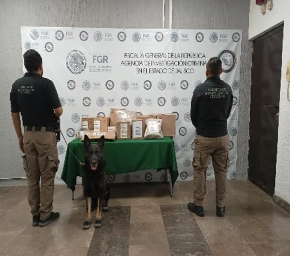 Aseguran cargamento de marihuana en empresa de paquetería del AMG