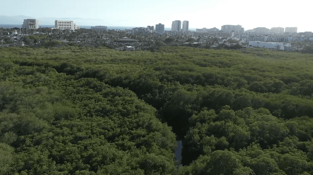 Reabren el estero El Salado en Puerto Vallarta