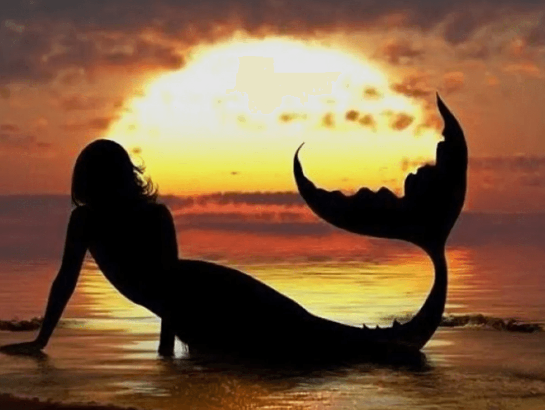 VIDEO | Captan a “Sirena” nadando en Playas de Tijuana