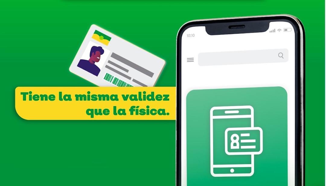 Licencia de Conducir: Descargan la versión digital más de 70 mil personas en un mes