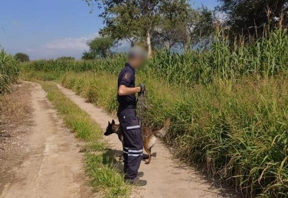 Ameca: Fiscalía de Jalisco realiza búsqueda de desaparecidos