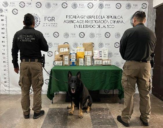 Jalisco: Aseguran más de 18 kilos de marihuana en paquetería