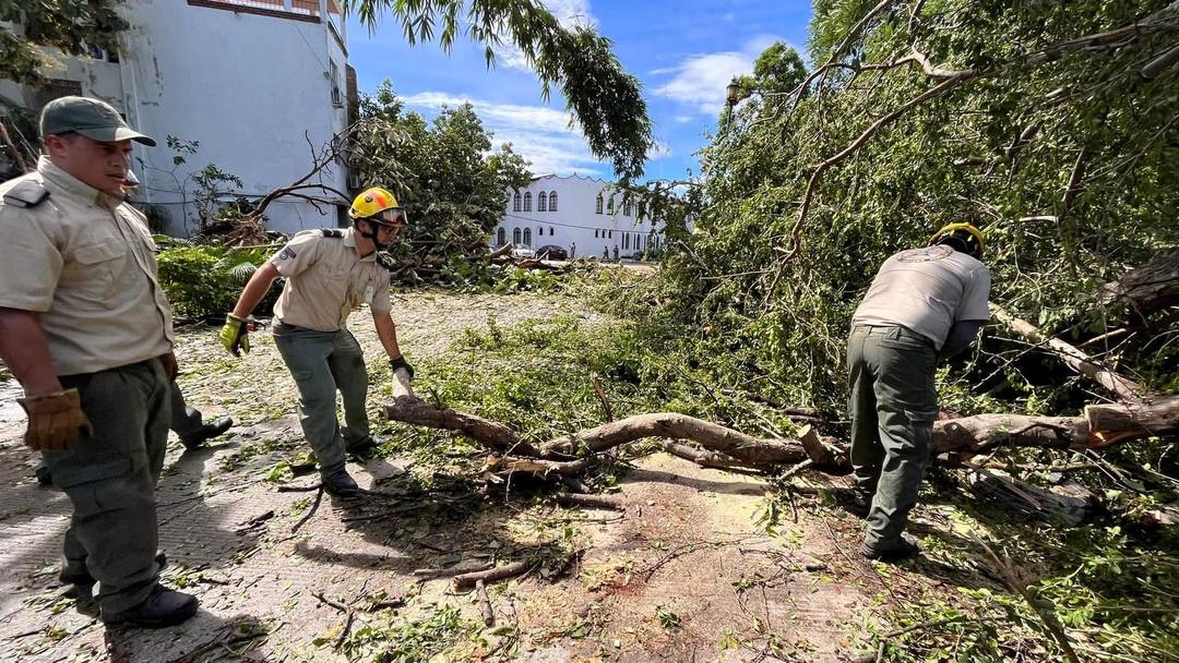 Huracán Lidia deja una persona sin vida en Jalisco