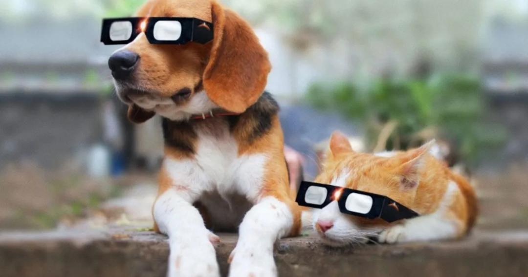 Eclipse solar anular: 7 cosas que debes saber de este fenómeno