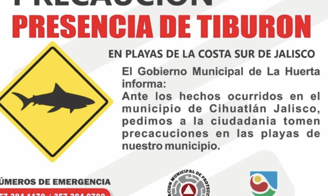 Muere turista tras ser atacada por un supuesto tiburón en playa Melaque, Jalisco