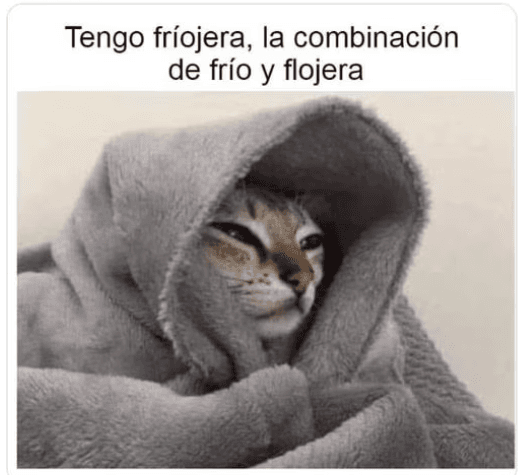 Clima en Jalisco: Estos son los mejores memes del Team frío