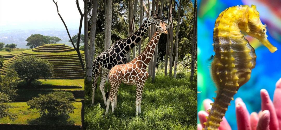 Semana Santa 2024: Tres lugares cerca de la ZMG para acudir con tu familia estas vacaciones