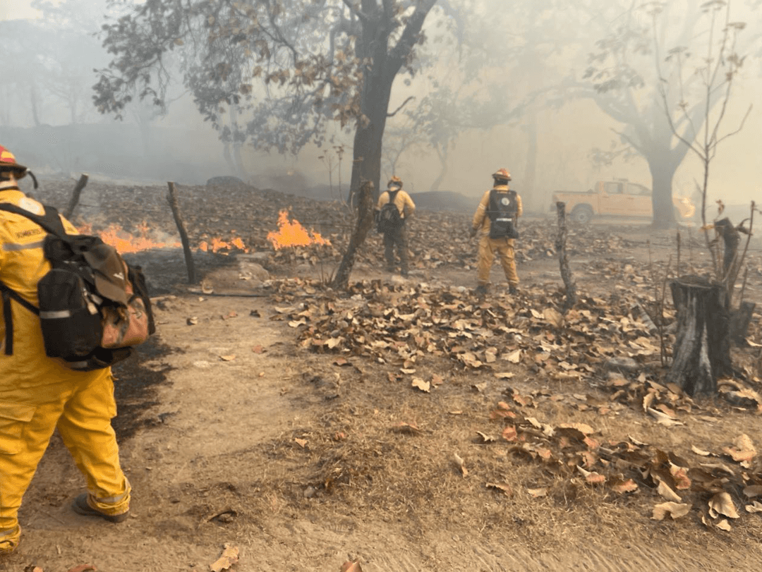 Incendio en La Primavera: Controlan el fuego más de 170 brigadistas