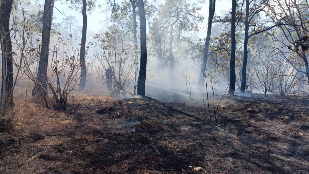 Zapopan: Brigadistas combaten nuevo incendio forestal en el paraje “Los Bailarines”