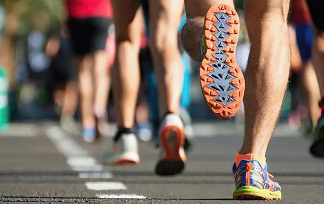 Transporte público: Este domingo rutas de camión harán cambios