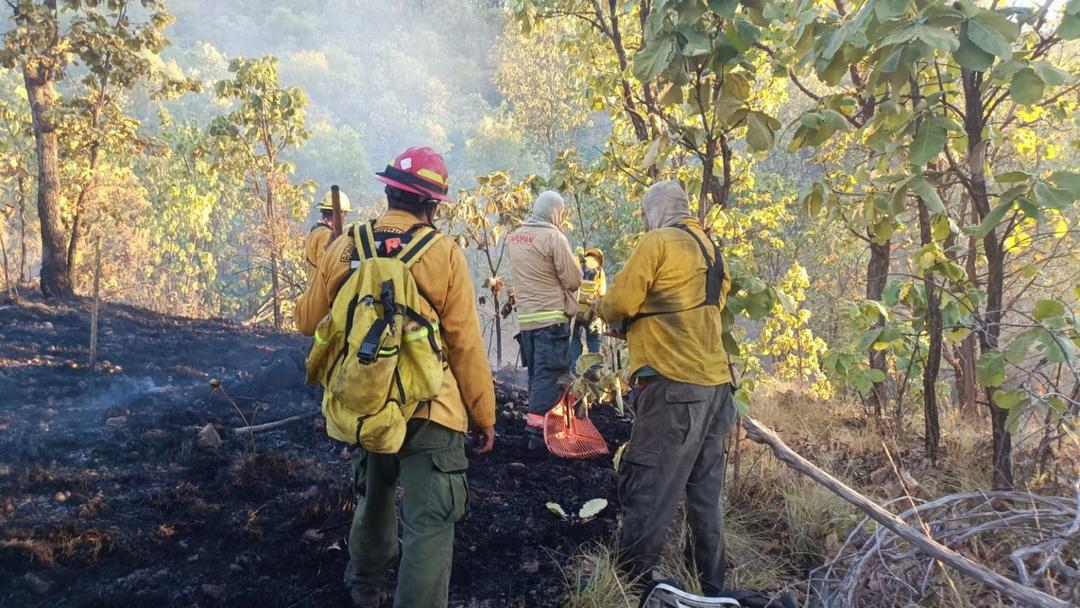 Zapopan: Más de 200 brigadistas combaten incendio forestal en Bugambilias