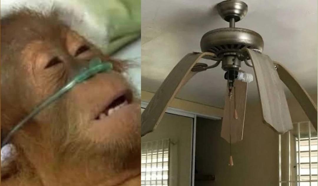 Clima en Jalisco: Calorón infernal deja estos divertidos memes