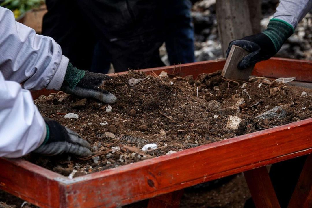Michoacán: Hallan restos de 16 personas en fosas clandestinas de Jacona