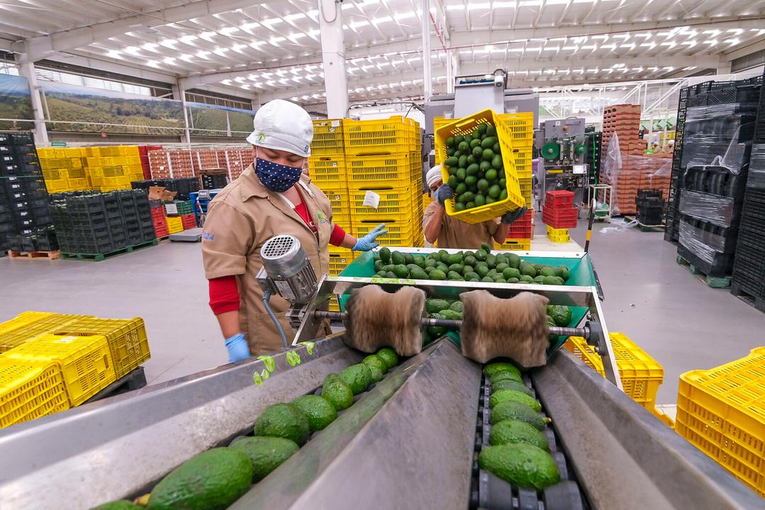 Repunta 16% la actividad económica de Jalisco en el segundo trimestre