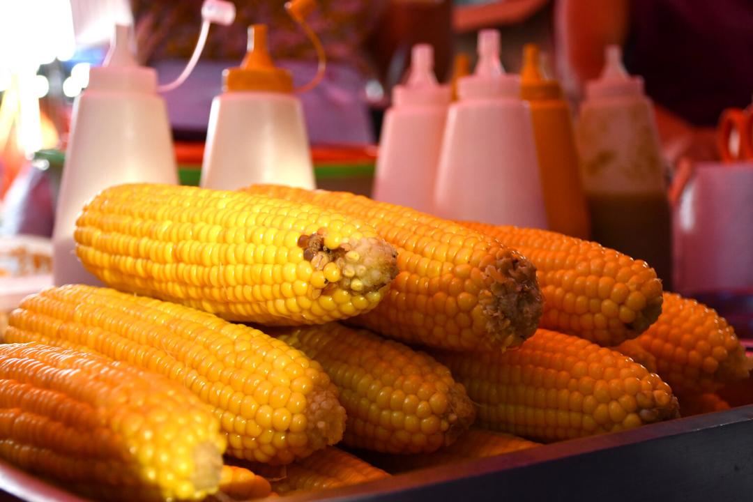 Feria del elote 2024: Conoce todos los detalles del delicioso evento en Zapopan