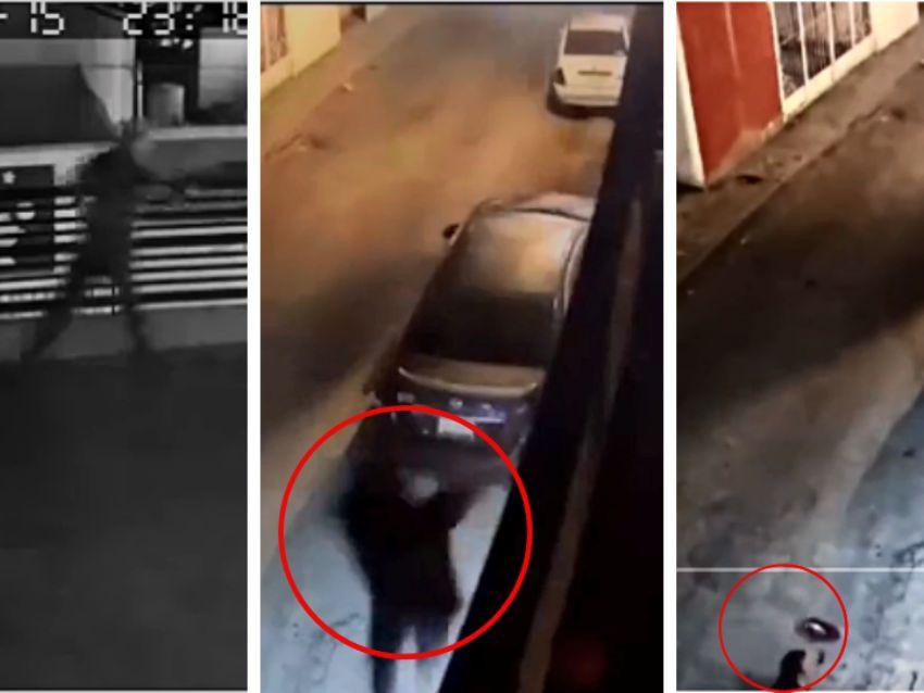 VIDEO | Perros hacen que ladrón caiga desde una azotea en Saltillo