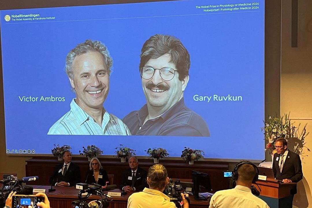 Dan Premio Nobel de Medicina a Victor Ambros y Gary Ruvkun por micro-ARN