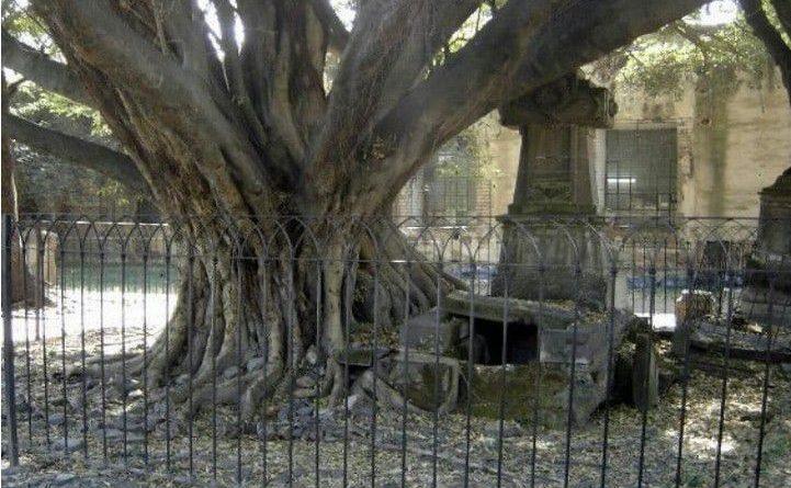 Leyendas de Guadalajara: ¿Conoces al vampiro del Panteón de Belén?