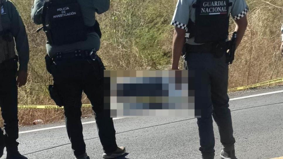 Sinaloa: Localizan restos humanos en una hielera en Elota