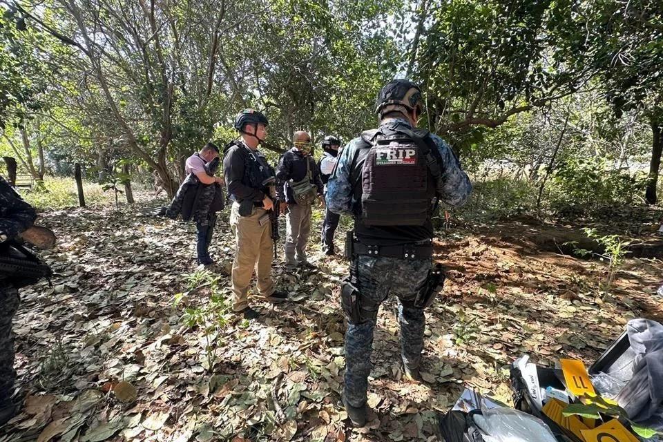 Chiapas: Encuentran 14 cuerpos más en fosas; van 31