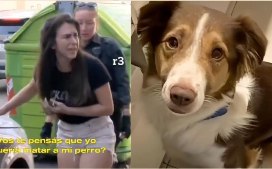 VIRAL: Mujer deja a su perro dentro del carro y muere