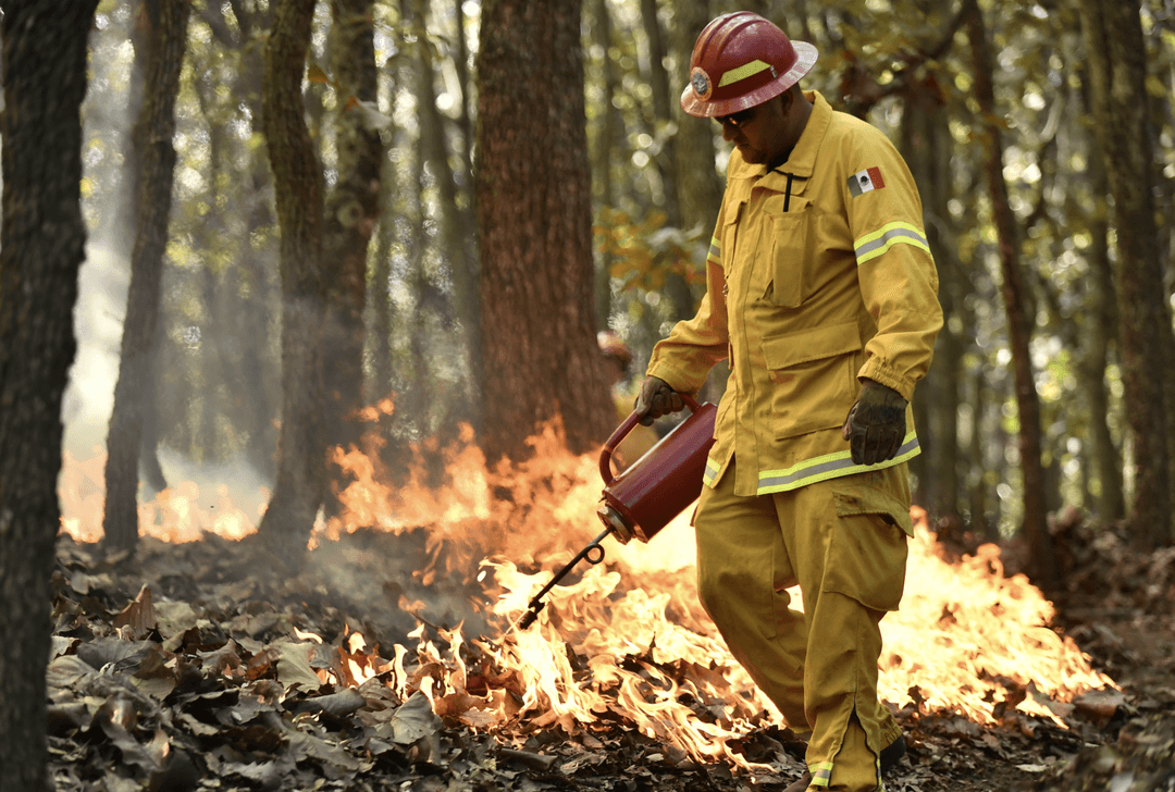 Incendios forestales: Intensifican trabajos de prevención en regiones de Jalisco