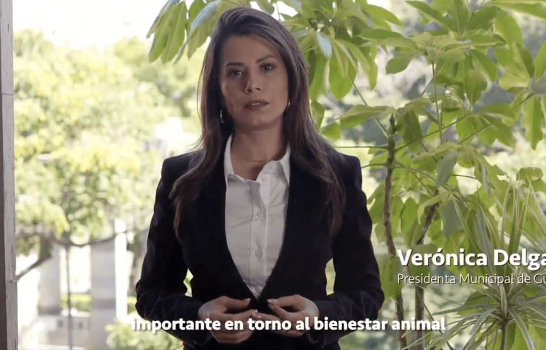 Verónica Delgadillo presentará iniciativa federal de protección animal