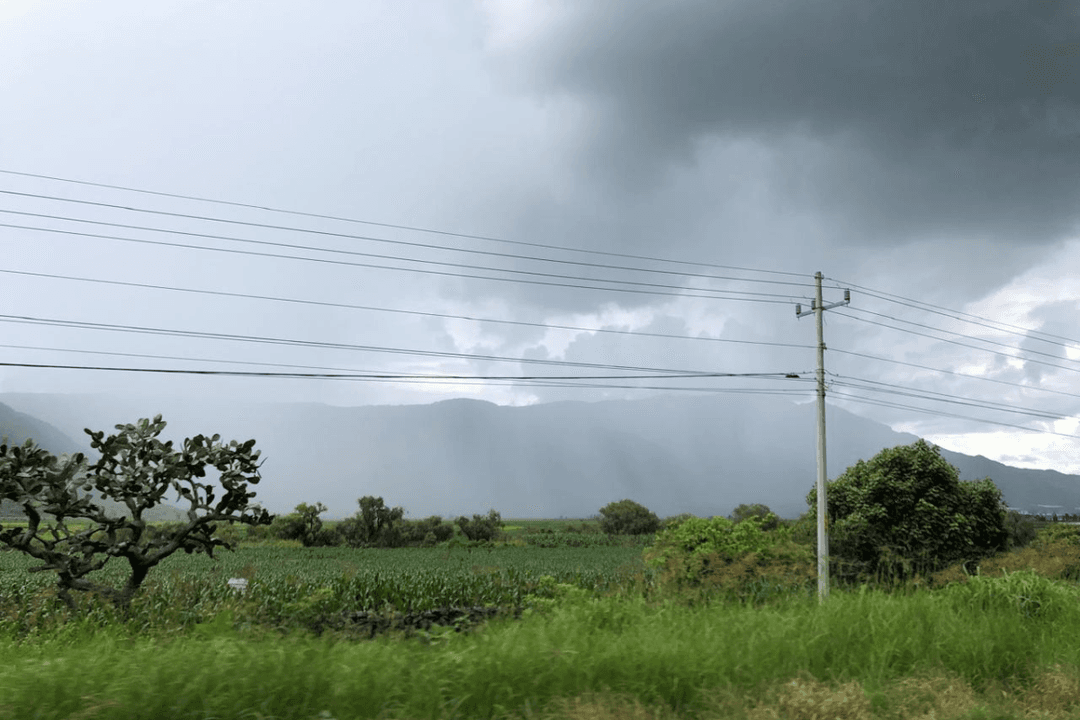 Temperatura en Guadalajara: ¡Alerta! Se esperan lluvias este jueves