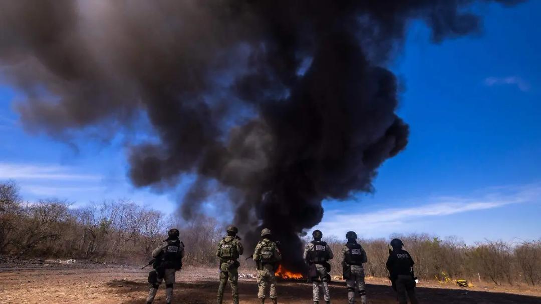 Sinaloa: Destruyen más de más de 1.5 toneladas de drogas