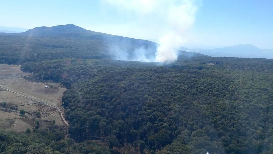 Boque La Primavera: Se registra primer incendio forestal del 2025