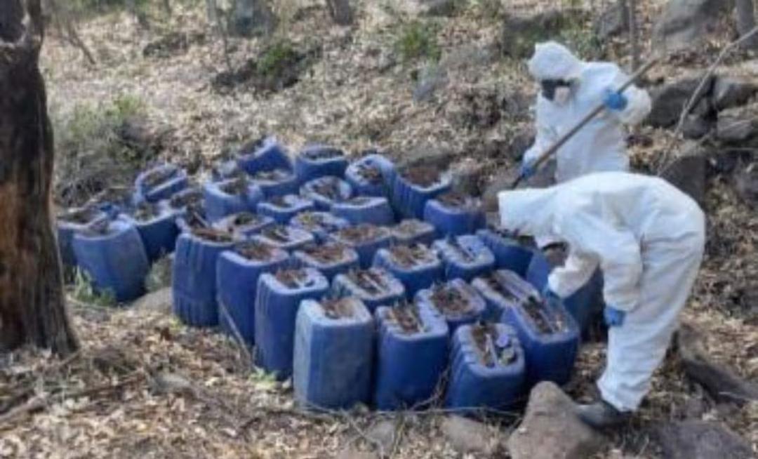 Sinaloa: Localizan 11 laboratorios clandestinos en dos municipios