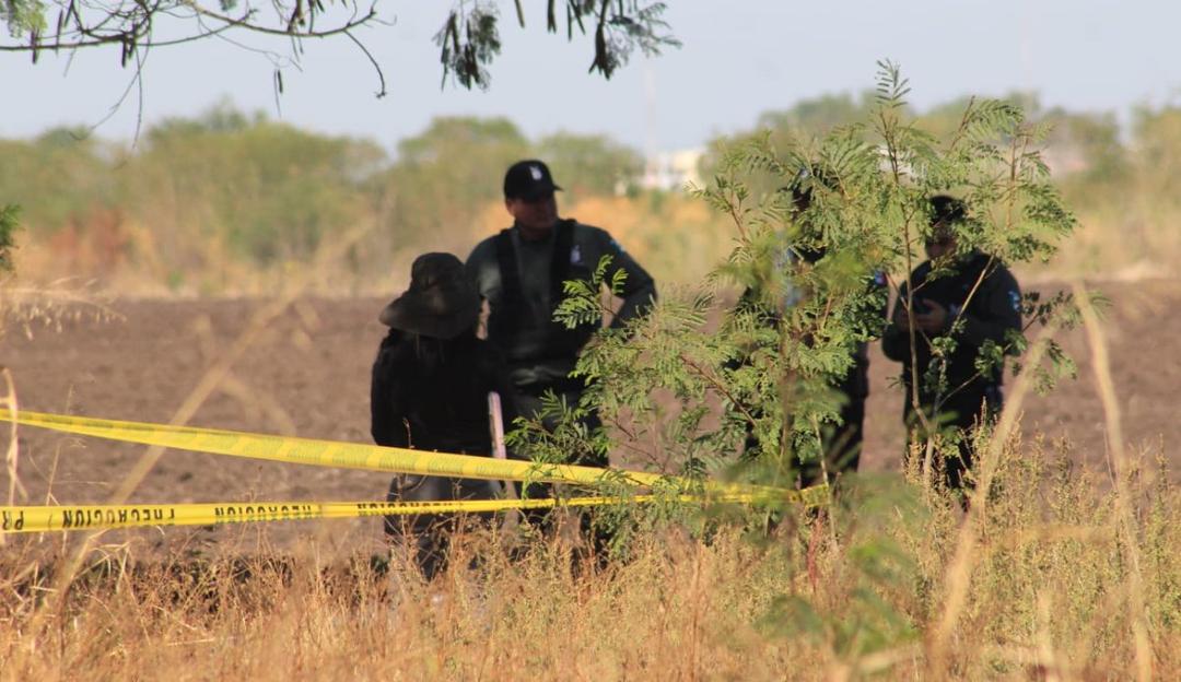 Elota: Hallan a seis personas ejecutadas y con huellas de violencia
