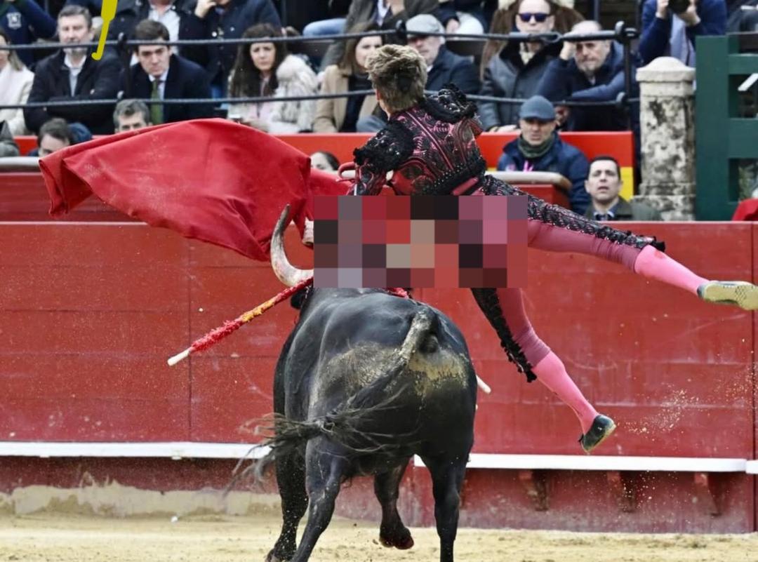 Borja Jiménez: El matador sufre aparatosa cornada en Valencia