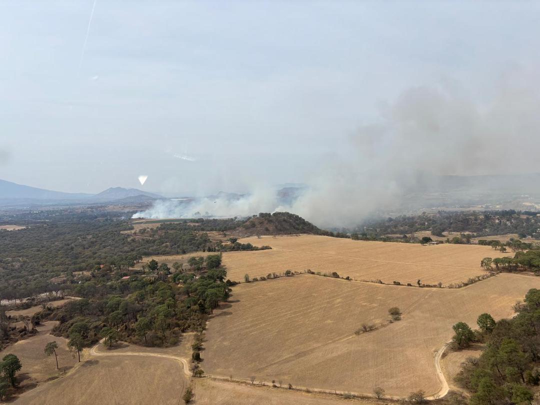 La Primavera: Se registra un incendio forestal en el predio El Oasis