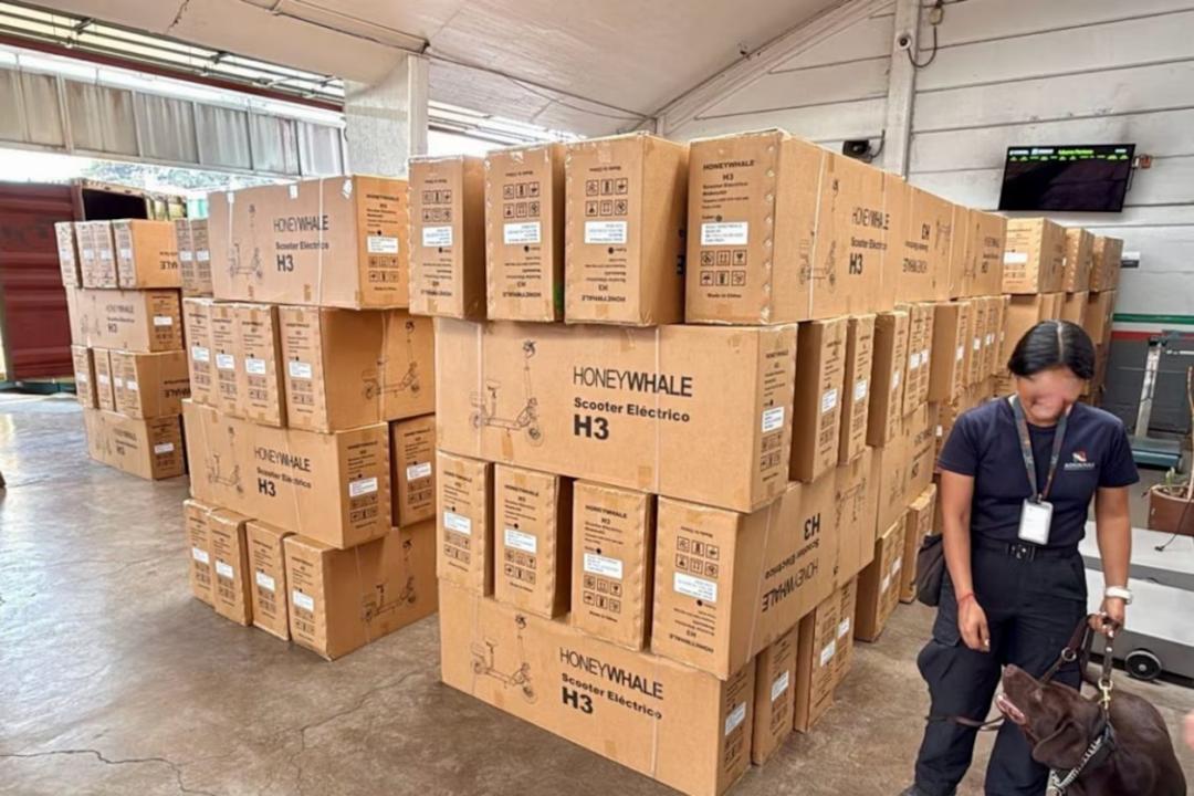 CDMX: Hacen decomiso histórico de ropa y juguetes chinos