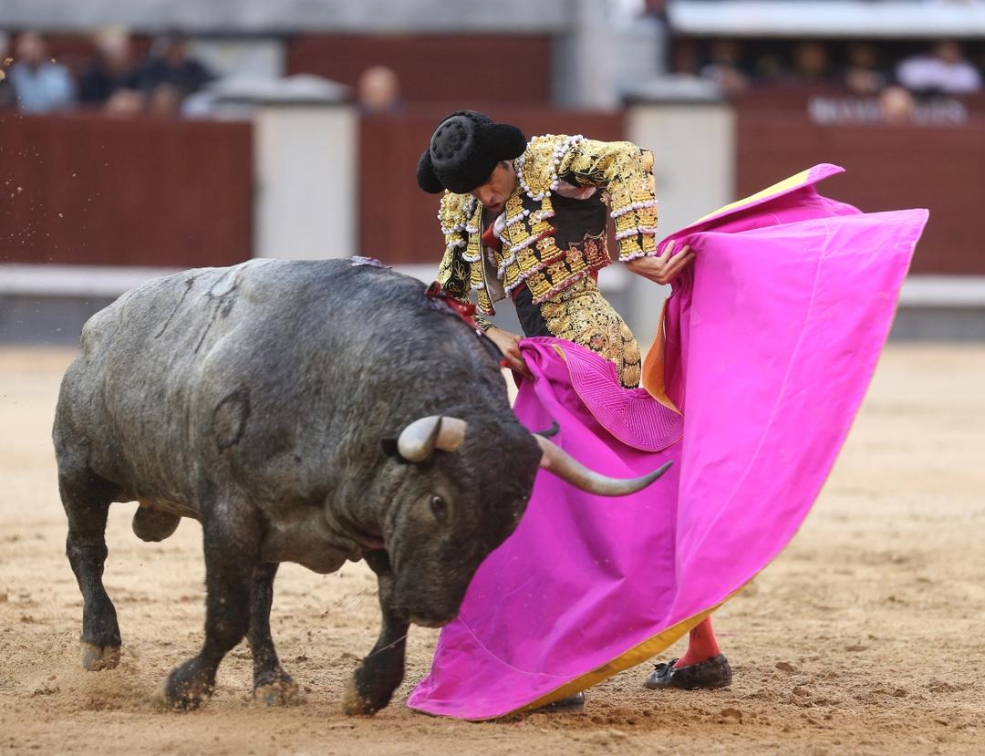 CDMX aprueba corridas de toros sin violencia