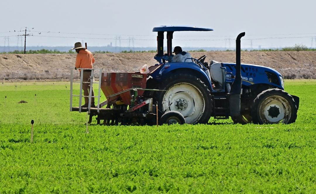 Trump pide regresar a migrantes trabajadores en agricultura y hostelería