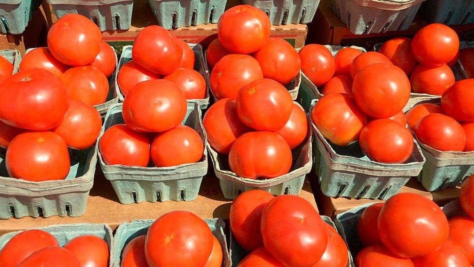 EU impondrá aranceles del 20.91% a tomates mexicanos desde julio