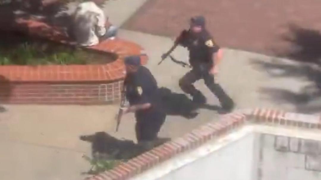 Florida: Comfirman dos fallecidos en tiroteo en una universidad