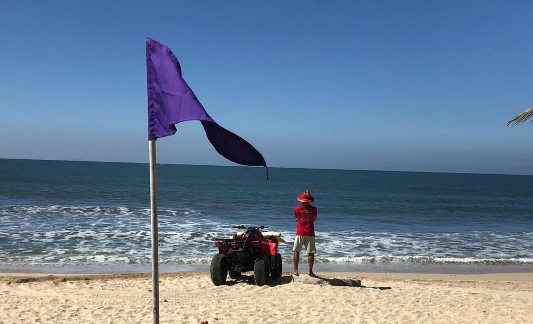 Puerto Vallarta instala bandera morada por presencia de medusas