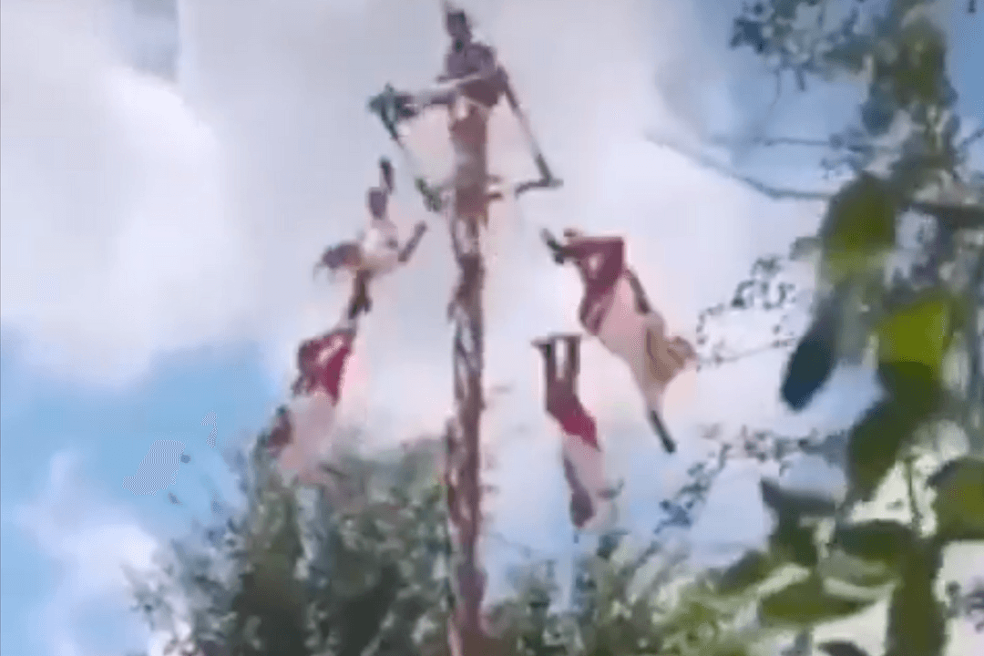 Viral: Caen voladores de Papantla de 10 metros de altura