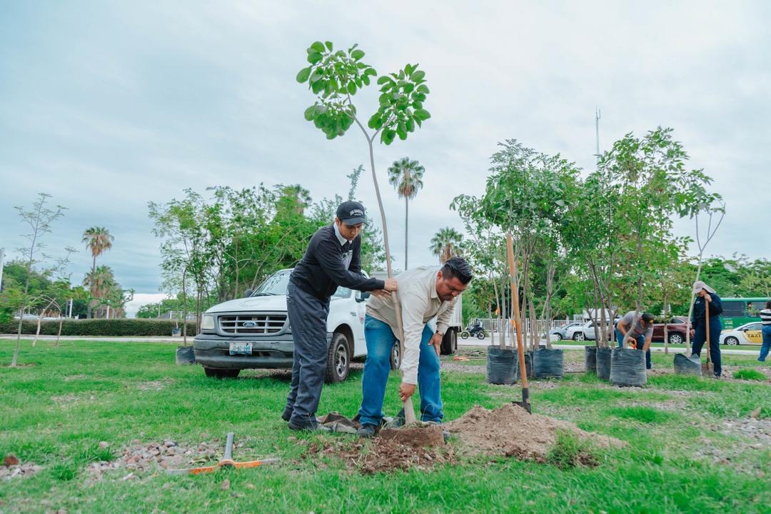 Guadalajara planta 200 árboles en la Glorieta de La Normal