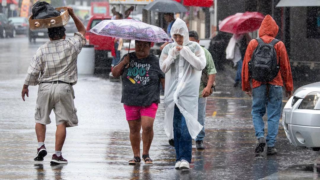 Clima en Guadalajara: ¿Qué día lloverá del 2 al 8 de junio?