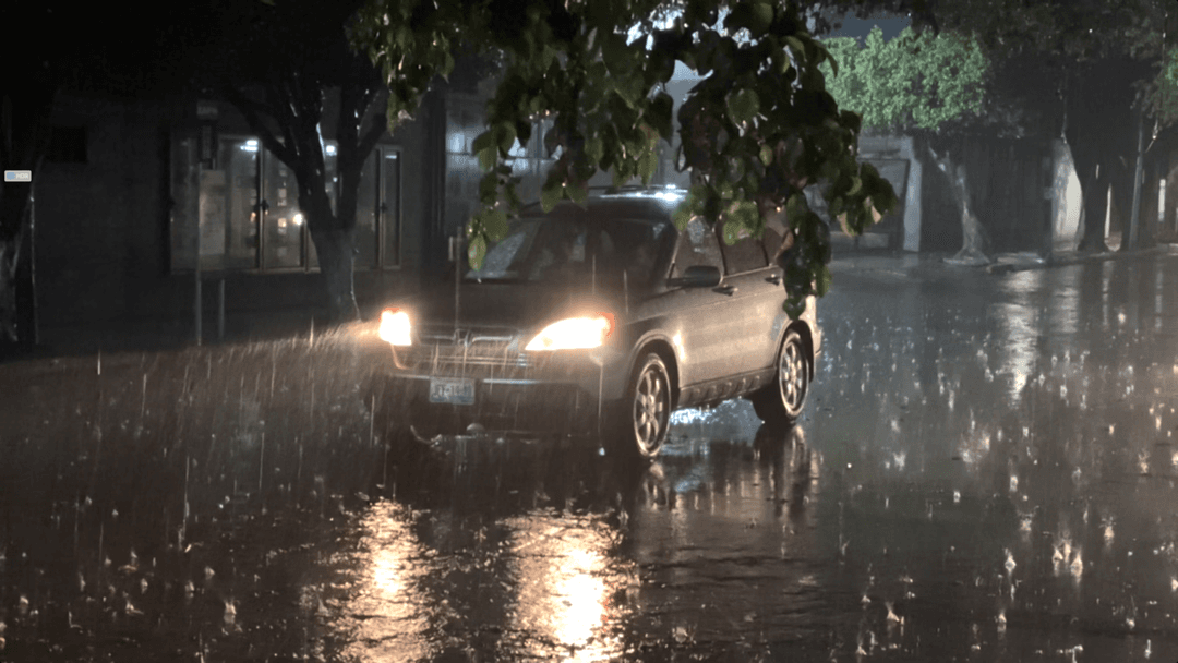 Lluvias en ZMG dejan 47 árboles caídos y 17 autos varados